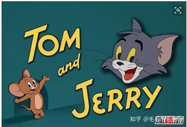 《猫和老鼠》中的猫是什么品种的,有何证据?
