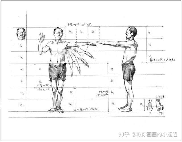 不同的年龄的人体特征