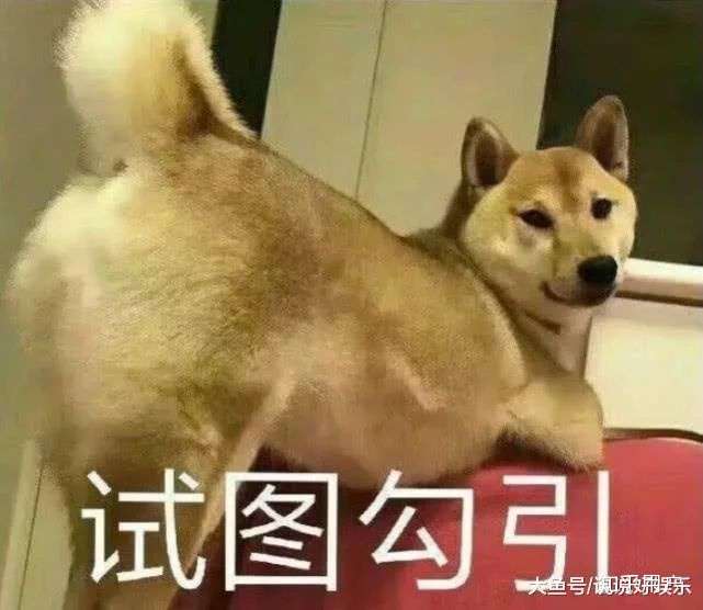 有哪些让人震惊的骚操作?