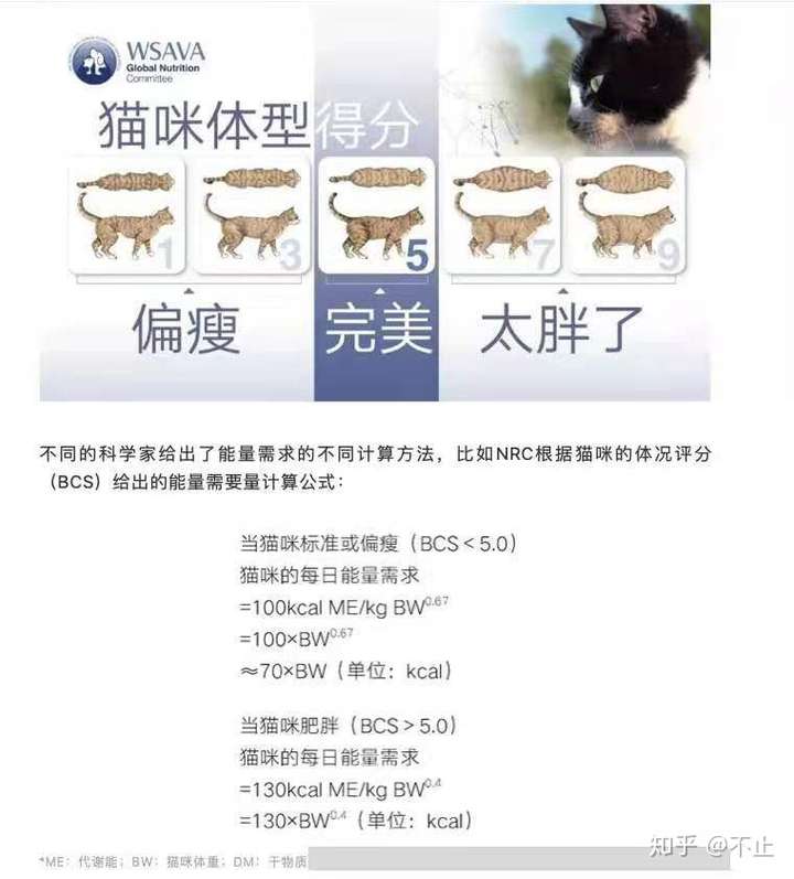 5是比较标准的体重了,如果你的猫偏瘦不爱吃东西,考虑一下挑食问题.