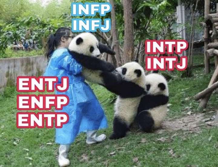 为什么说intj和infp相互吸引的,intp和infj相互吸引的