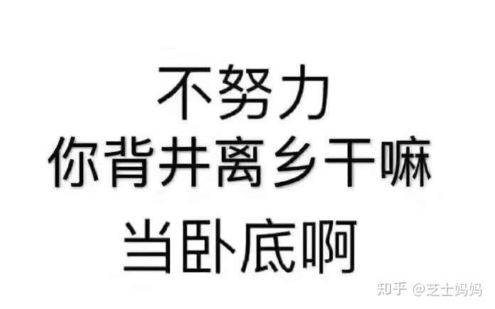 为什么你要那么努力 知乎