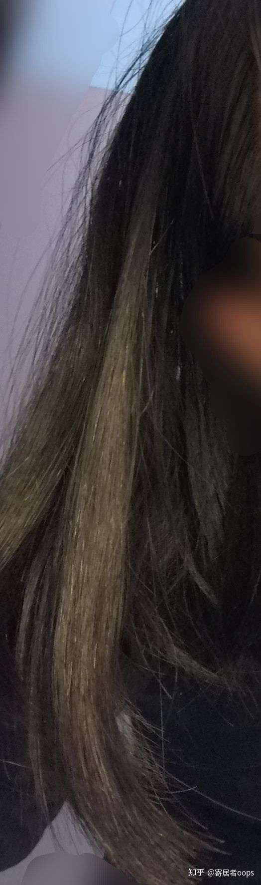 头发烫了和不烫有什么区别?