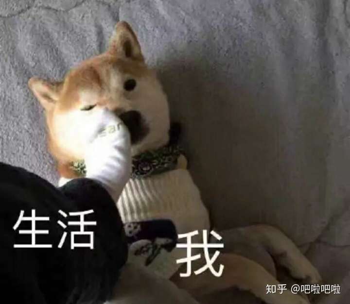 所以突然觉得一切似乎都失去了意义!
