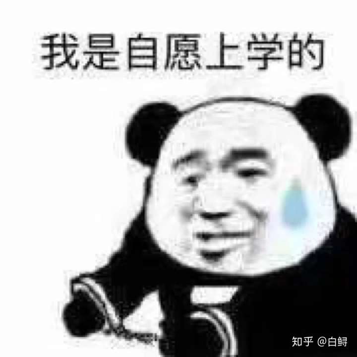 班群头像用什么好