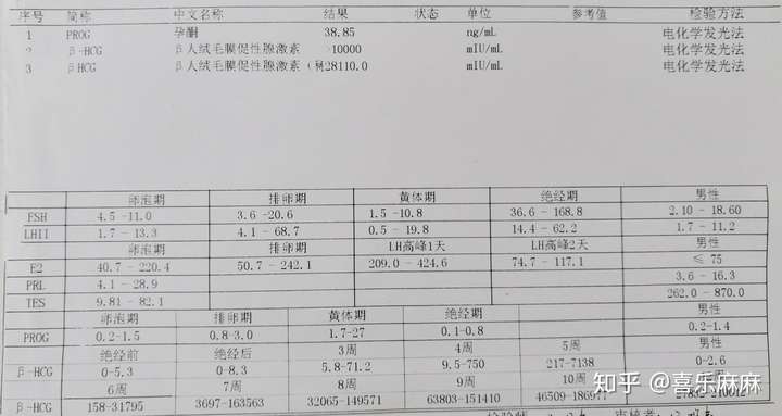 怀孕初期hcg值为多少比较正常