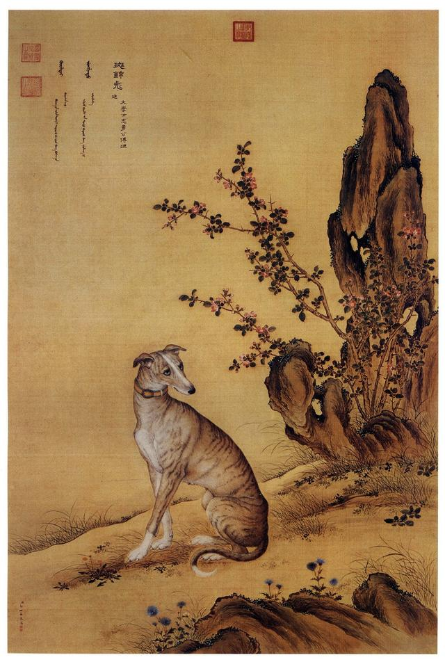 为什么中国的狗没有名犬像古代那些御犬都没有保留下来吗
