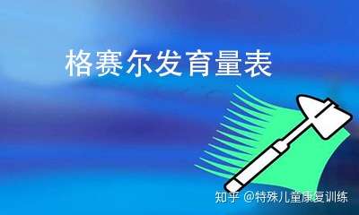 gesell发育量表格赛尔发育量表