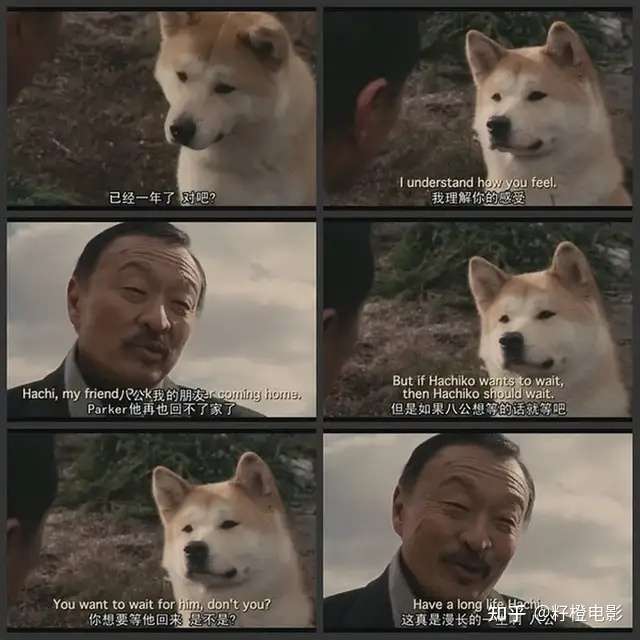 如何评价《忠犬八公的故事》?