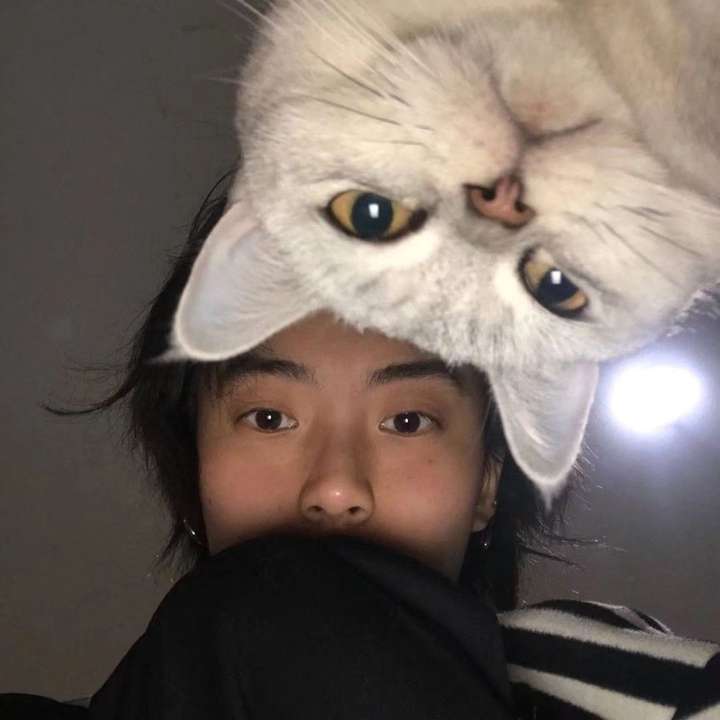 有没有那些男生半身抱着动物的头像?
