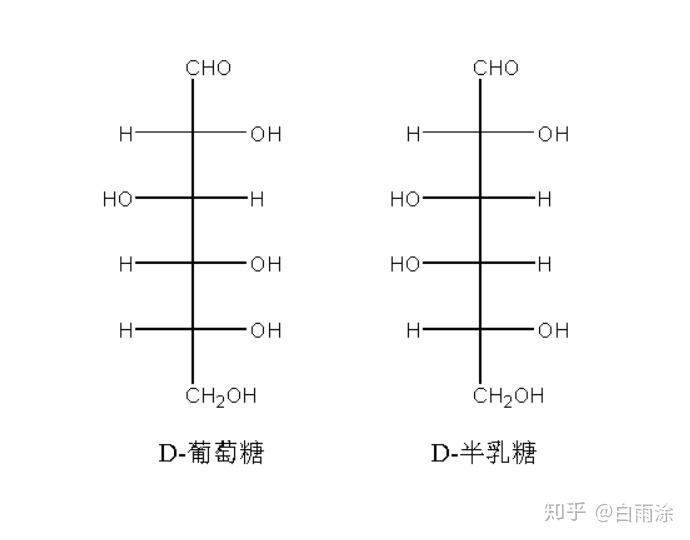 半乳糖与葡萄糖,分子结构到底有何区别,有何影响?