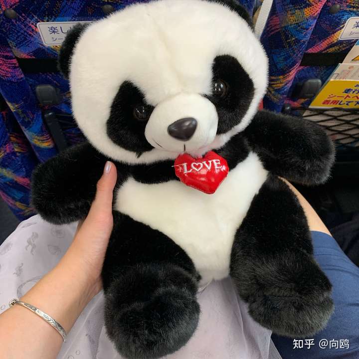 第二次是他在机场免税店逛,买了一只小熊猫玩偶,也不是很大,大概是我