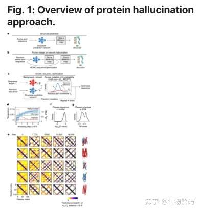 de novo protein design by deep network hallucination | nature