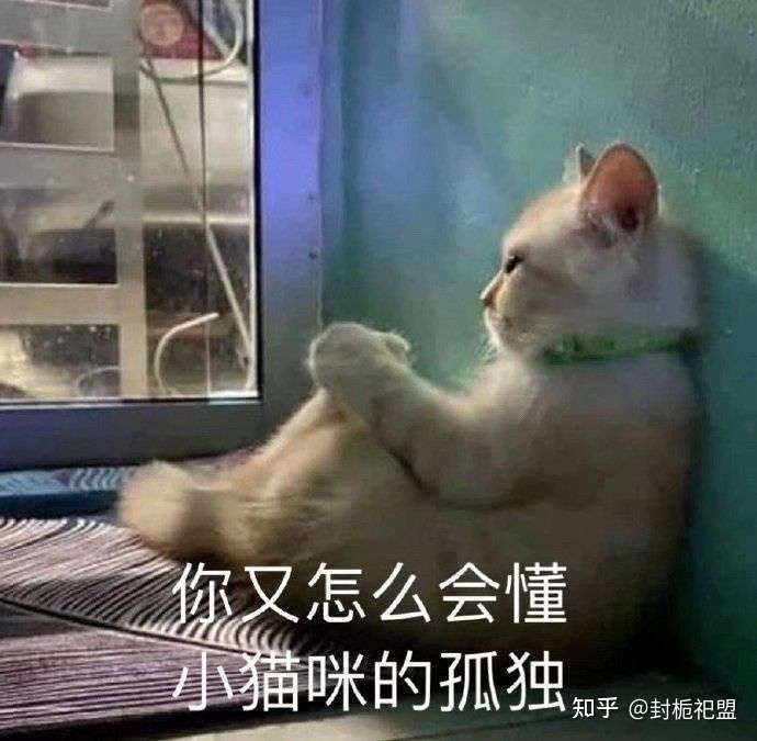 如何以"人总是要死的,而我好像死在了昨天"为开头写一篇故事?
