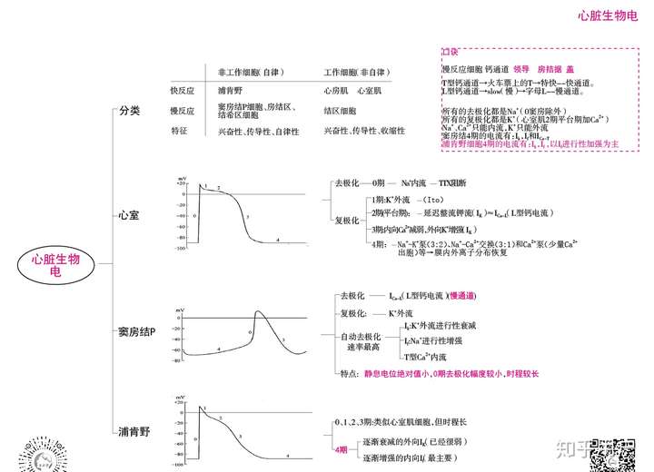 医学生一枚,该怎么学生理啊 血液循环好难啊 该咋学啊?