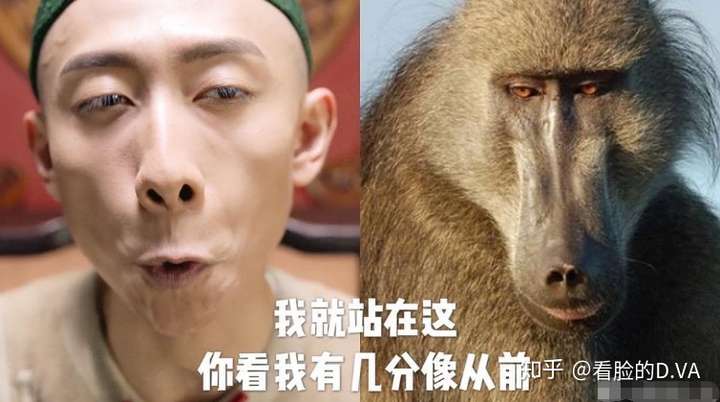 导演也要背锅,看这个沙雕样子