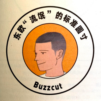 「butch cut   东欧流氓的标准圆寸」