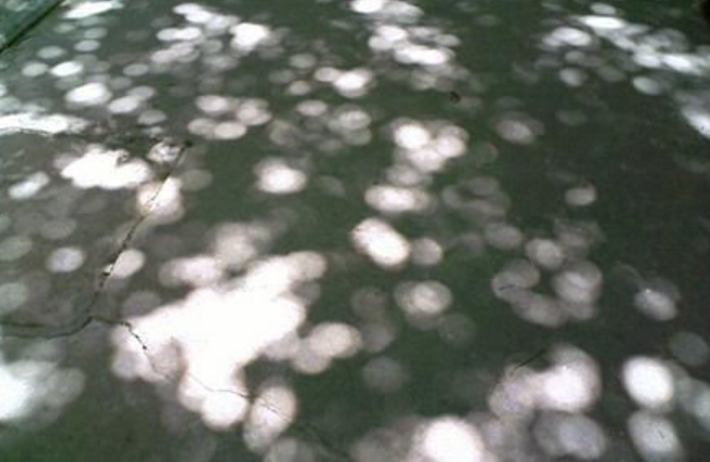 如下: 用一个"二维码"做镜头会发生什么 想象一下在夏天,躲在树荫下
