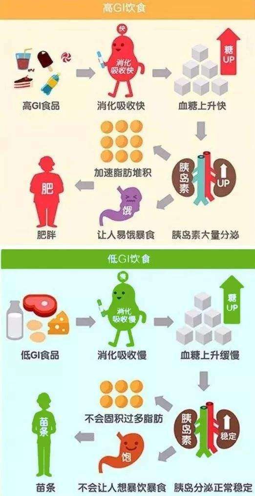gi是什么意思?