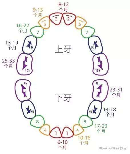 小宝宝的牙齿是一颗一颗长的有没有什么问题?