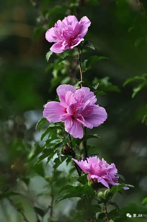 7月，我们不期而遇