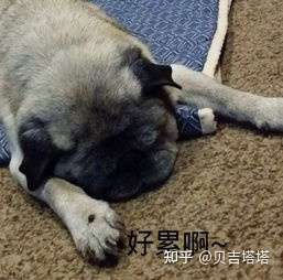 最近天天加班感觉好累,睡不好想换个床?