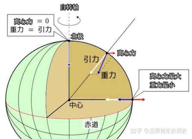 在地级,例如北极,离心力为0,此时重力完全等于引力.