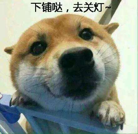 有哪些特别可爱的晚安表情包?