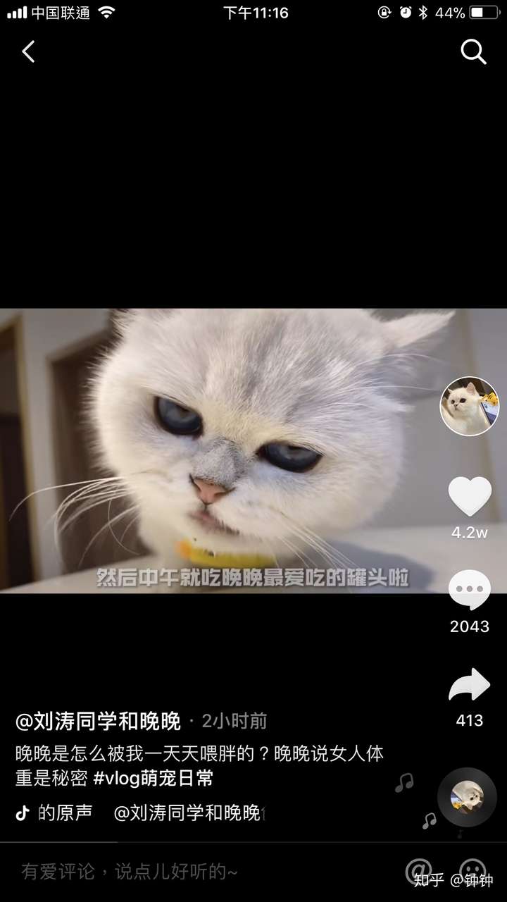 如何评价刘涛同学和晚晚?