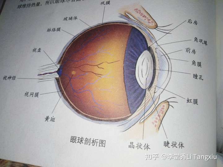 有哪些少有人知道但是非常有用的健康知识?