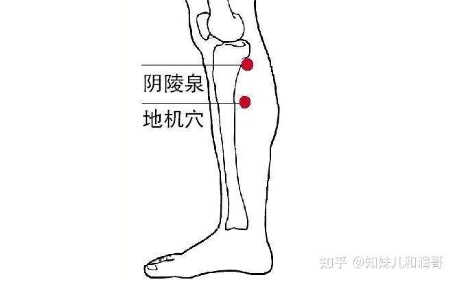 2, 阴陵泉穴