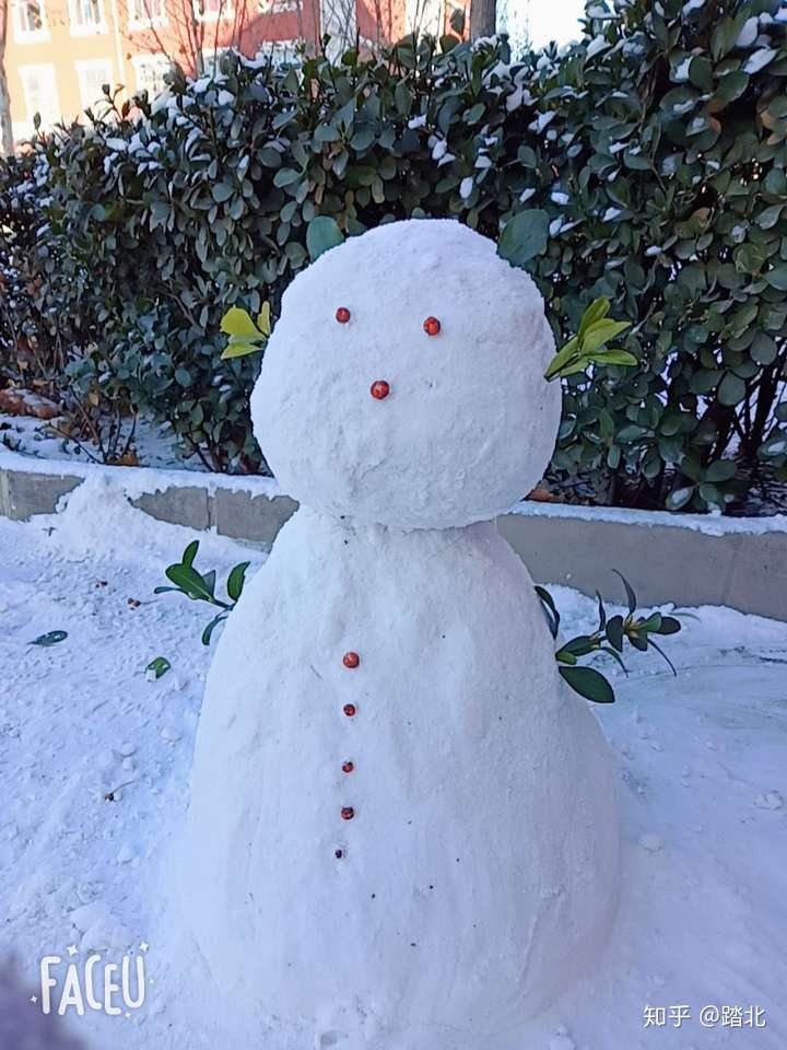 这个冬天你堆过那些牛逼的雪人