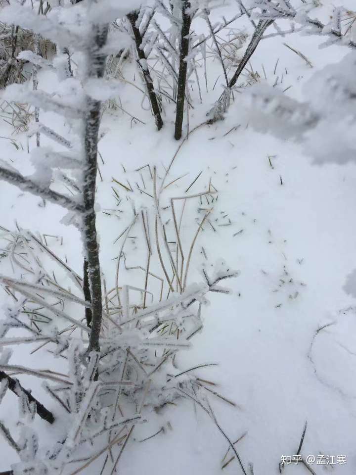 有没有你们家乡的雪景图片,孩子这里已经好几年没下雪了,想看看雪景?