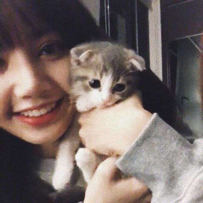 莎莎  小五  辣梨  lili  lalisa  丽萨 lisa lisa猫猫的名字叫leo