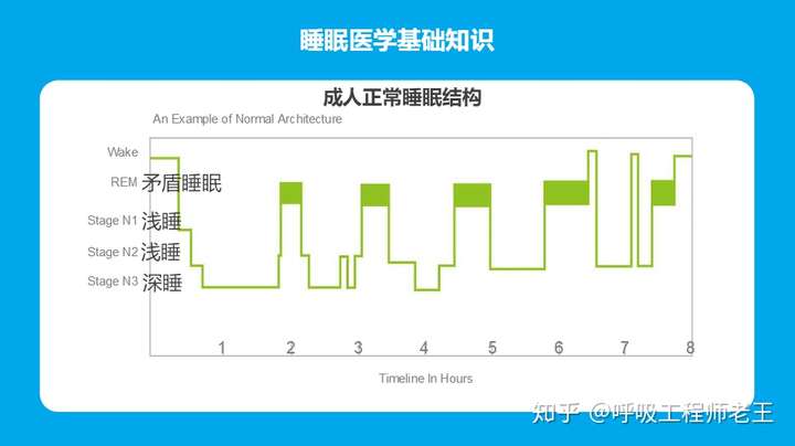 这是一个成年人的正常睡眠结构.