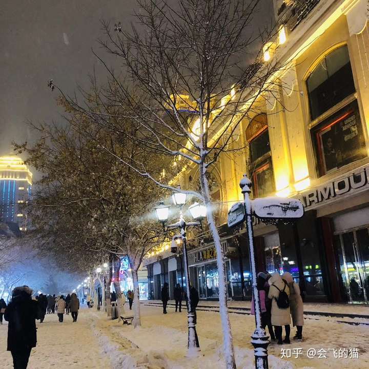 哈尔滨下雪了,能让我看看你那里的雪景照片或者视频吗?