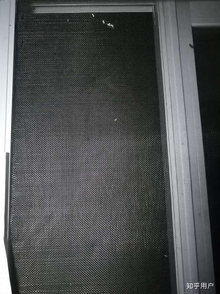 在衣服上发现虫卵 谁知道这是什么?