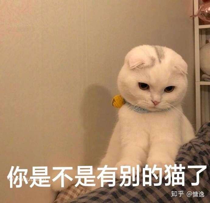 有没有别人不理你时的表情包?