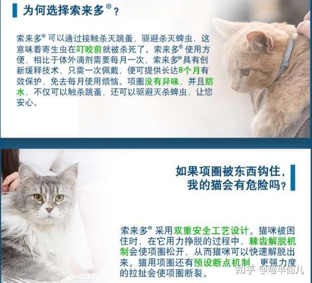 怎么给猫咪做内外驱虫,多久驱一次,用什么药?