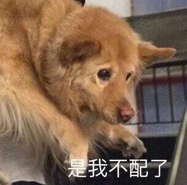 【是我不配了】