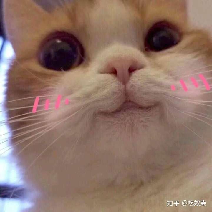 如何看待b站up主北森深鹿被指责撒谎一事?