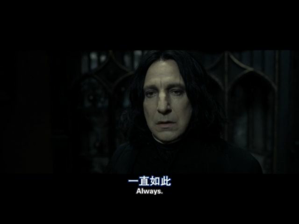 我最受不了的就是踩詹姆,捧斯内普.