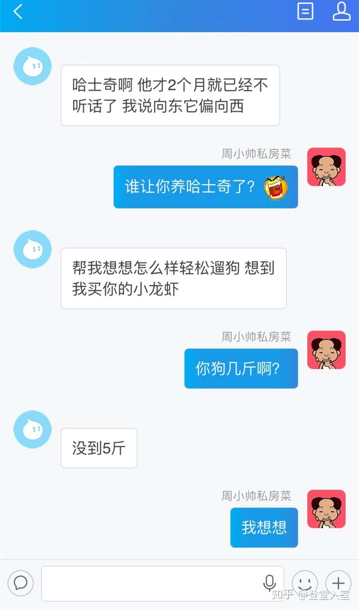 有了这个办法,狗链这种东西其实要不要也无所谓了哈  @周小帅私房菜