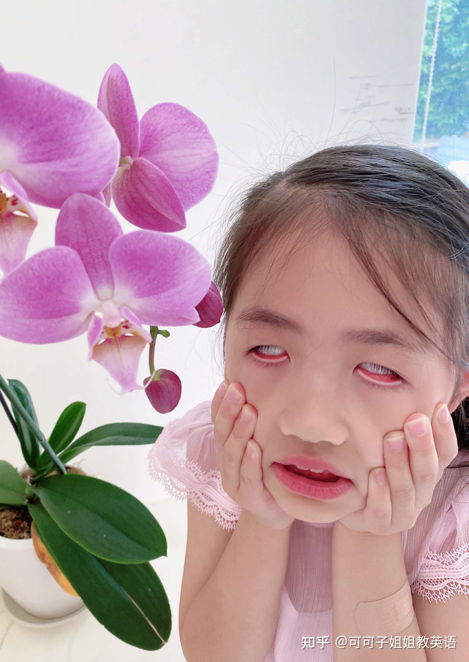可可子姐姐教英语 的想法: 最近陪我看了一点披荆斩棘