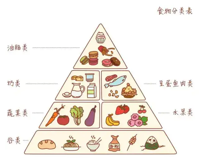 第一,知道框架性概念:6类食物按金字塔结构占比摄入 第二,了解一份