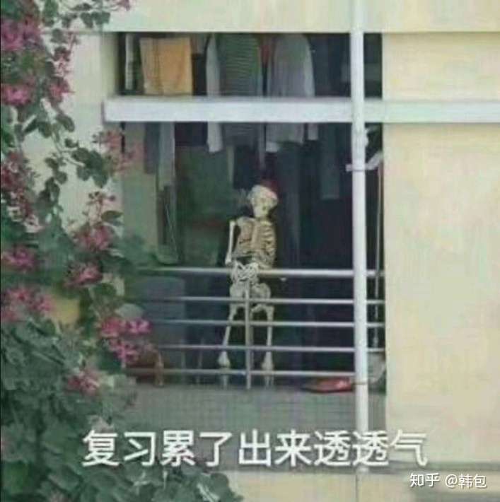 有什么男生用的沙雕头像?