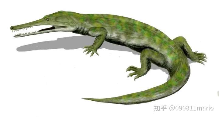 恐龙灭绝的时候地球上有什么生物存活了下来