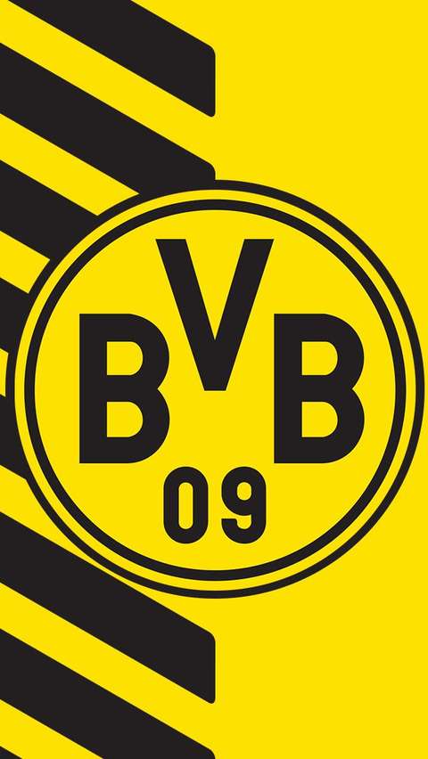 多特蒙德borussiadortmund