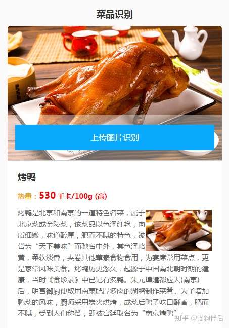 有什么拍照识别动物的app吗?
