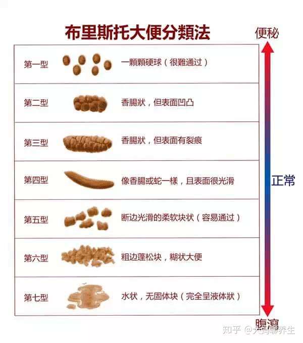 如何高效的大便?